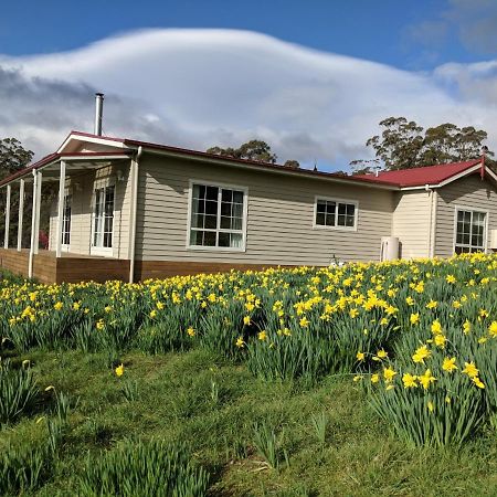 Mountain Blue Guest House Deloraine Dış mekan fotoğraf